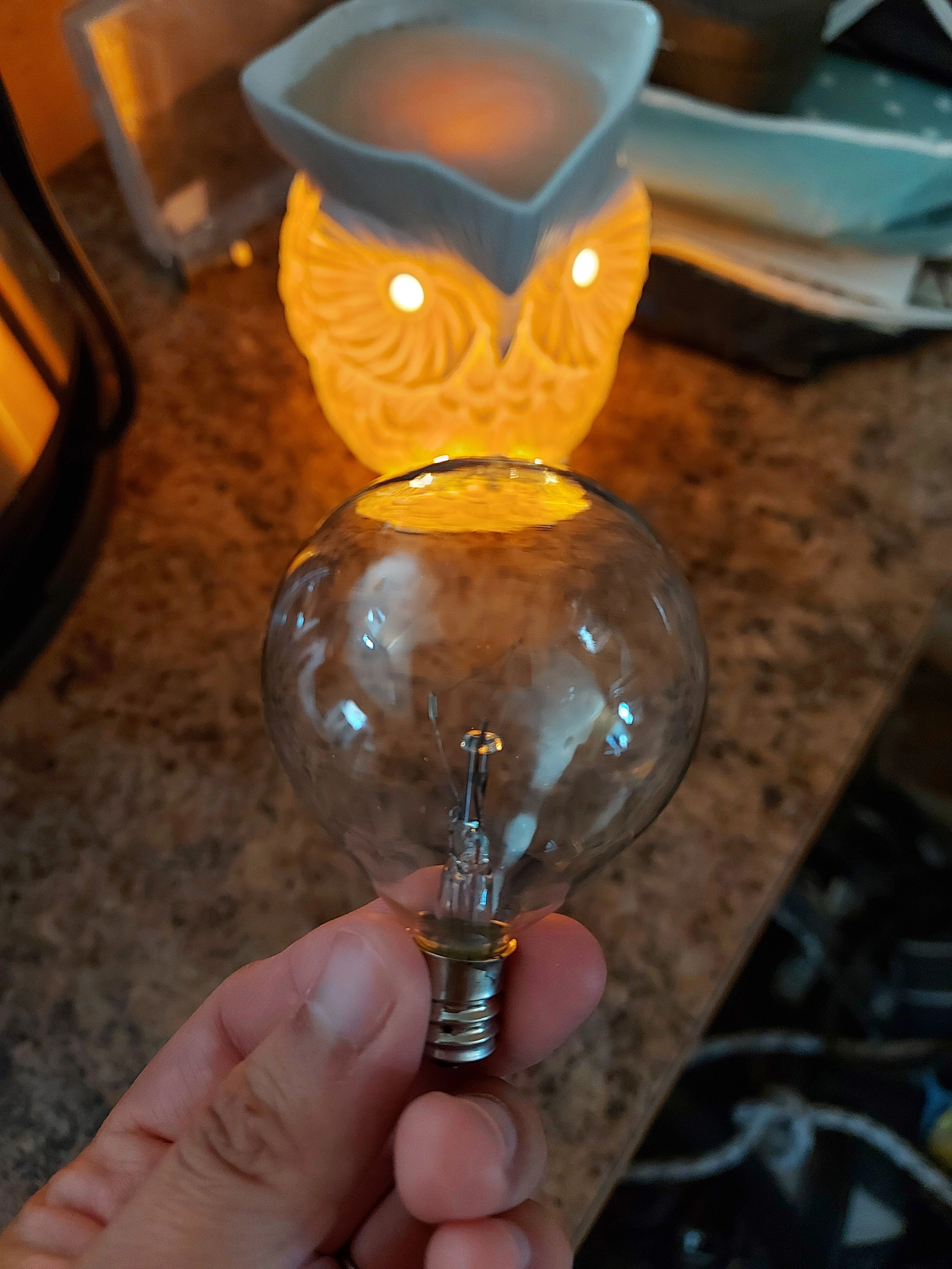 Ampoules chauffe-cire 25 watts G50 120V pour lampe parfumée pleine grandeur G16.5 Globe E12 Base de candélabre à incandescence lumière claire paquet de 6